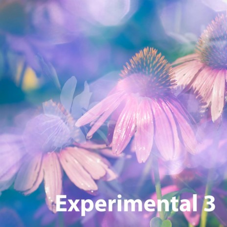 Experimental 3 | Boomplay Music