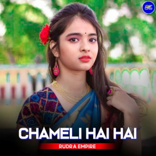 Chameli Hai Hai (Remix)