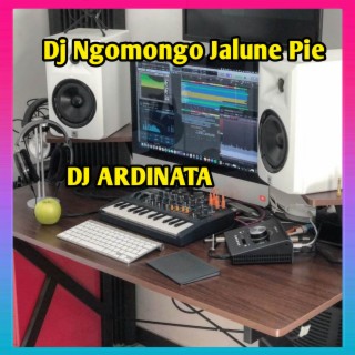 Dj Ngomongo Jalune Pie