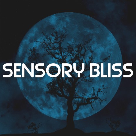 Sensory Bliss | Boomplay Music