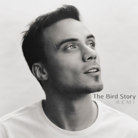 The Bird Story | Boomplay Music