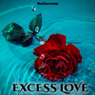 Excess Love