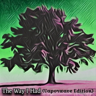 The Way I Had (Vaporwave Edition)