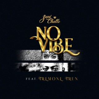 No Vibe ft. Tremone Trun lyrics | Boomplay Music