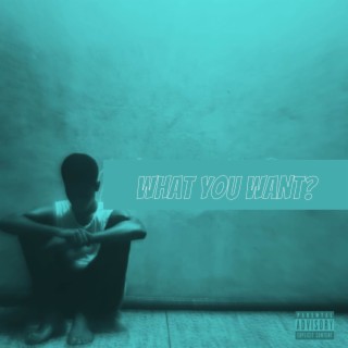 What You Want? lyrics | Boomplay Music