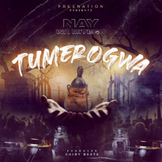 Tumerogwa lyrics | Boomplay Music