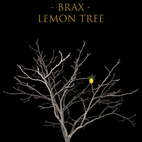 Lemon Tree | Boomplay Music