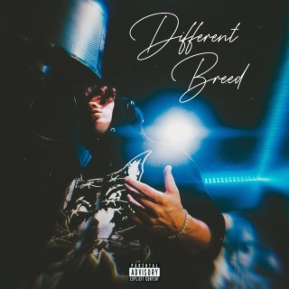 Different Breed lyrics | Boomplay Music