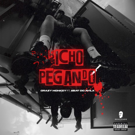 Bicho Pegando ft. Beat do Ávila | Boomplay Music