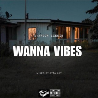 Wanna Vibes lyrics | Boomplay Music