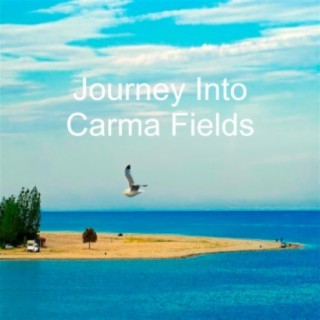 Journey into Karma Fields