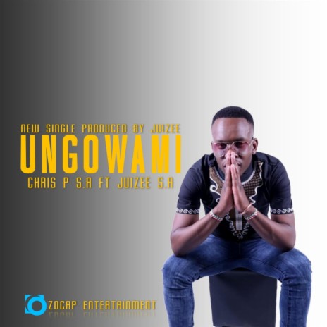Ungowami ft. Juizee SA | Boomplay Music