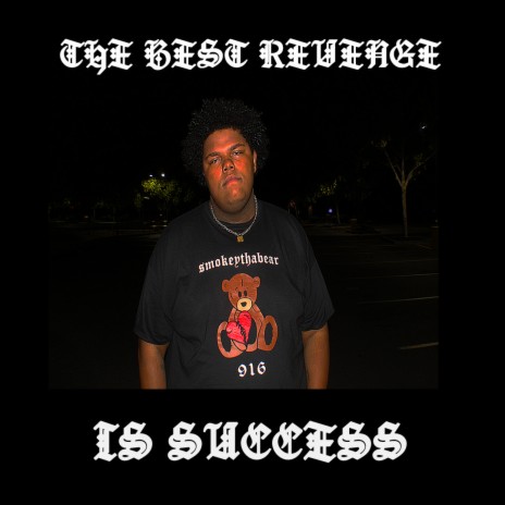 The Best Revenge Is Success