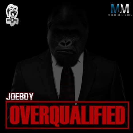 Overqualified 🅴 | Boomplay Music