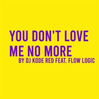 You Don't Love Me No More (feat. Flow logic)