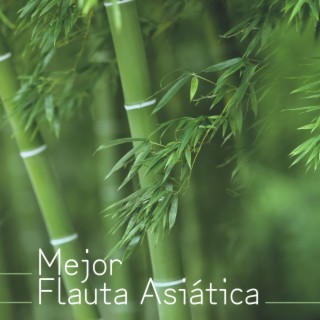 Mejor Flauta Asiática: Música de Fondo para Vida Armónica, Equilibrio y Bienestar Completo