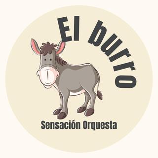 El burro