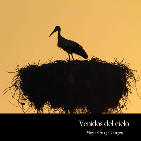 Venidos del Cielo (Original Motion Picture Soundtrack)