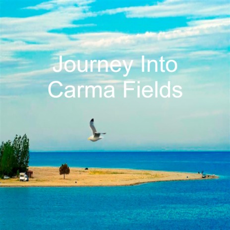 Journey into Karma Fields | Boomplay Music