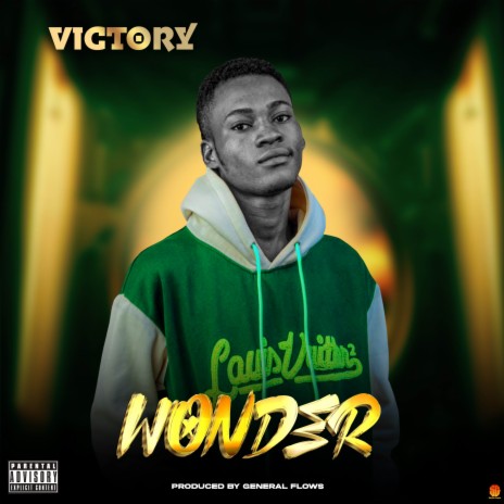 Wonder | Boomplay Music