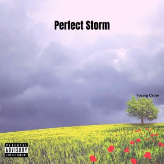 Perfect Storm