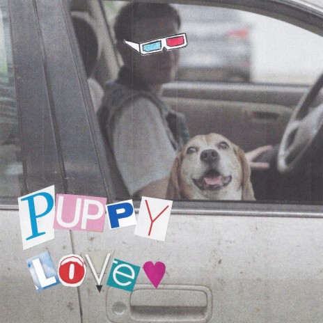 Puppy Love | Boomplay Music