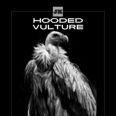 Hooded Vulture | Boomplay Music