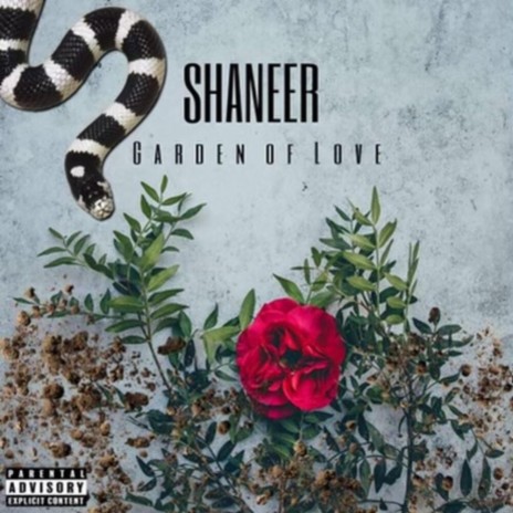 Garden of Love ft. Shaneer | Boomplay Music