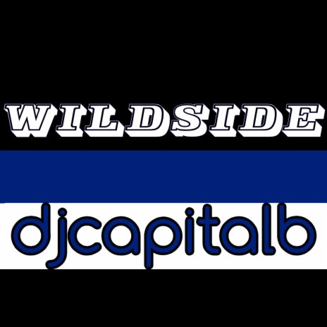 WILDSIDE | Boomplay Music