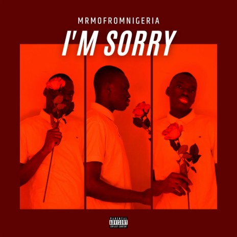 I'm Sorry (Radio Edit) | Boomplay Music