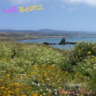 Lofi Beatz, Volume 5