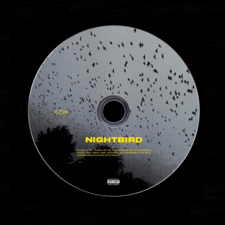 Nightbird | Boomplay Music