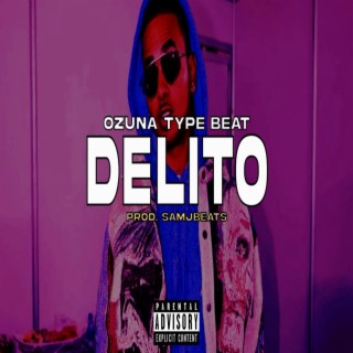 Delito (Pista de Reggaeton 2024)