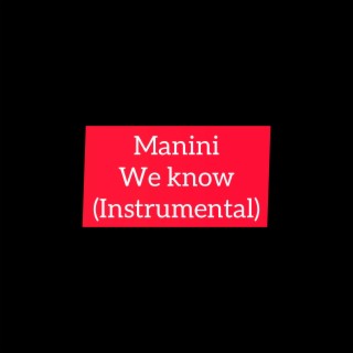We Know (Instrumental)
