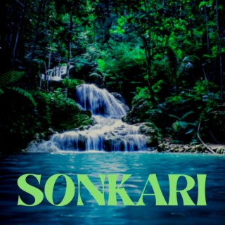 Sonkari