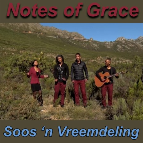 Soos 'n Vreemdeling | Boomplay Music