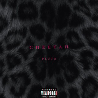 Cheetah