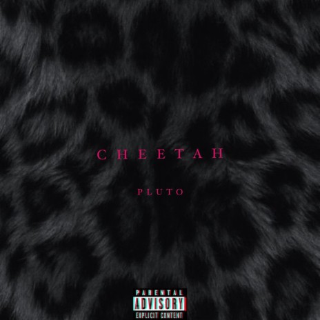 Cheetah | Boomplay Music