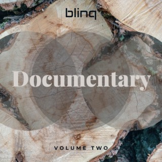 Documentary, Vol. 2