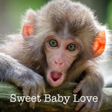 Sweet Baby Love | Boomplay Music