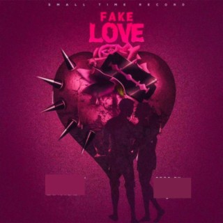 Fake Love