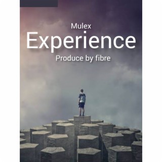 Experience