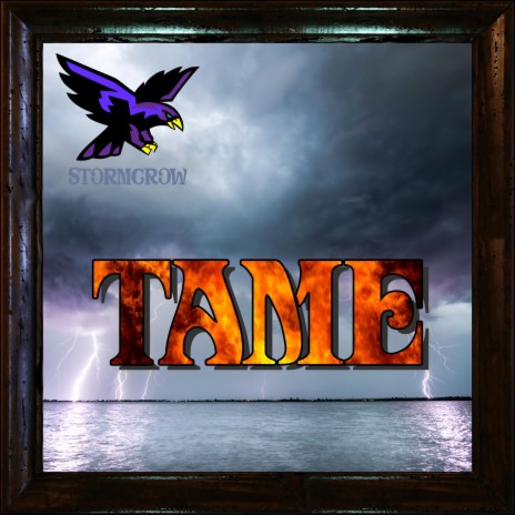 Tame | Boomplay Music