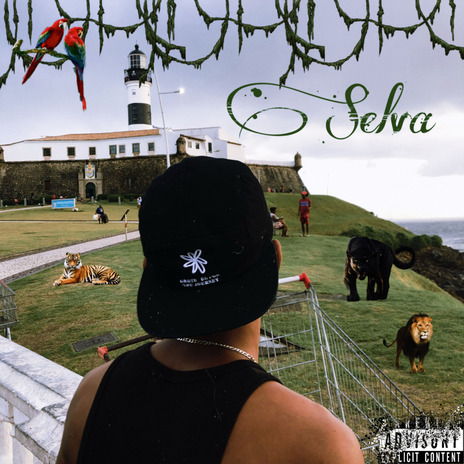 Selva | Boomplay Music