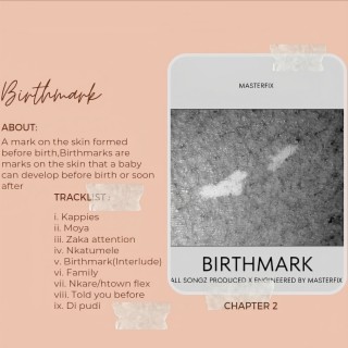 Birthmark Chapter 2