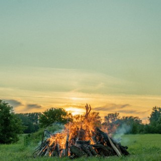 Callahan and the Woodpile