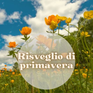 Risveglio di primavera: Musica rilassante per lavorare, dormire, meditare