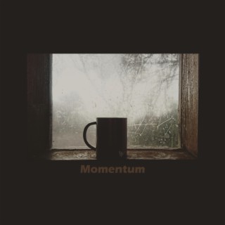 Momentum