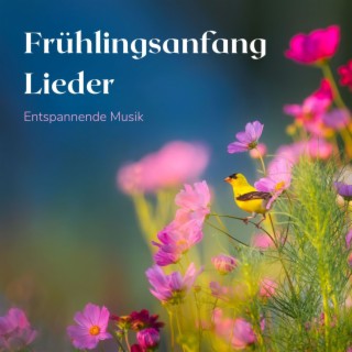 Frühlingsanfang Lieder: Entspannende Musik, Lieder mit Naturhintergrund