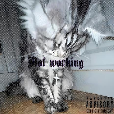 Not Working | Boomplay Music